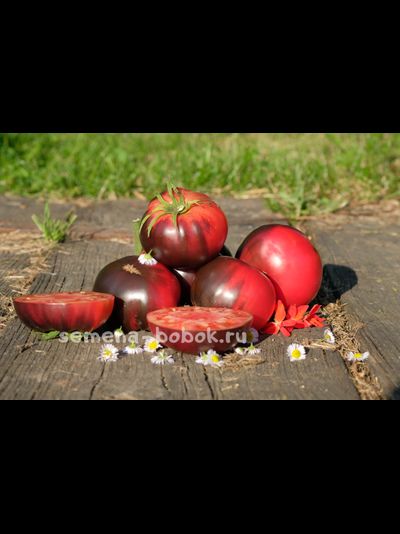 Томат Аметистовое сердце, 10 шт.