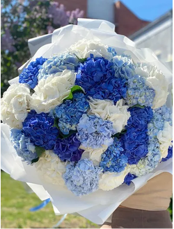 Микс из 31 гортензии