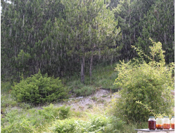 Купить греющую картину с фото репродукции варенье под дождем