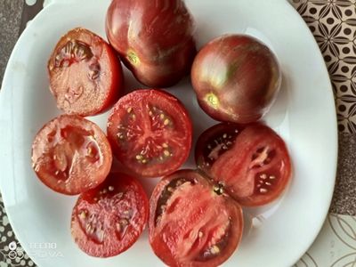 Томат Чероки тигр пурпурный полосатый, Cherokee Tiger Purple Striped)