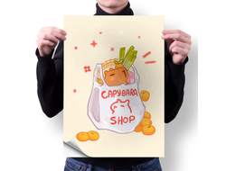 Плакат Капибара, Kapibara-san №3
