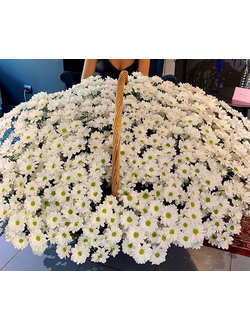 Корзина 301 ветка белой хризантемы