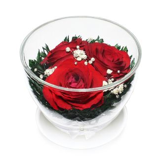 Композиция из красных роз в подарочной упаковке, CuSr3
