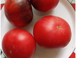 Томат Чупа чупс красный (Chupa Chups red, USA)