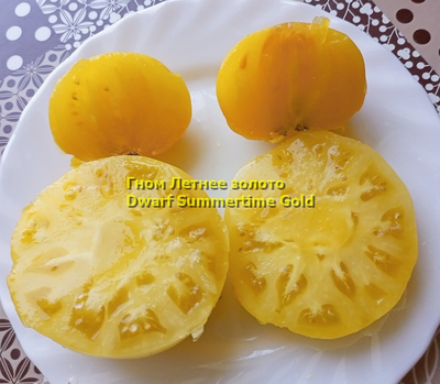 Томат Dwarf Summertime Gold (Гном Летнее Золото)