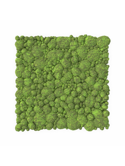 растительная стена Мох