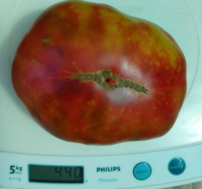 Томат Мадди Мамба (Muddy Mamba)