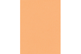 Альфа 4261 светло-оранжевый (цен.кат. Е)