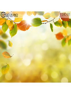 Фотофон виниловый «Летнее утро»