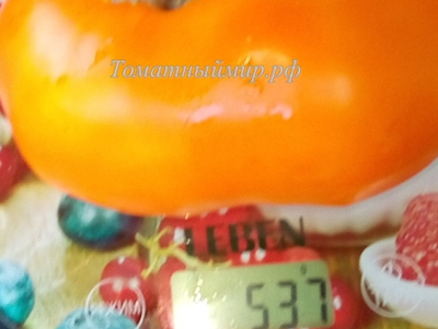 Томат Японское томатное дерево (Japanese tomato tree)