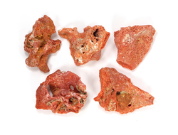 Коралл природный в ассортименте, Индонезия (30-35 мм, 3-4 г) №27528