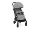 Joie Tourist 2 в 1 Travel System коляска + автокресло Gemm группа 0+