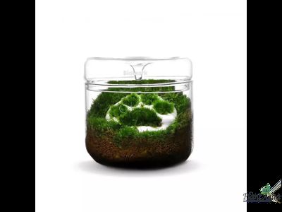 Чаша Лудзи Biolark MY-180 (180мм х 200мм)