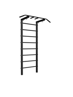 Уличный спортивный комплекс Sv Sport 250