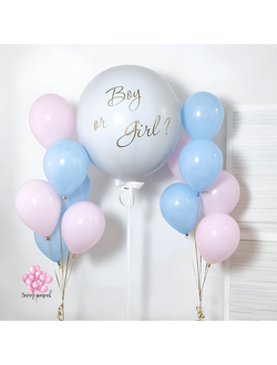 Сет 9 для определения пола малыша гендерная вечеринка