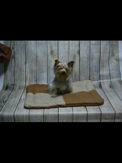 МАТРАС ДОМАШНИЙ 75Х60 см