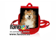 ФАНБОКС: ПОДАРОК Хатико (Hachi)