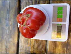 Томат Санта Лючия, (Sainte Lucie) США