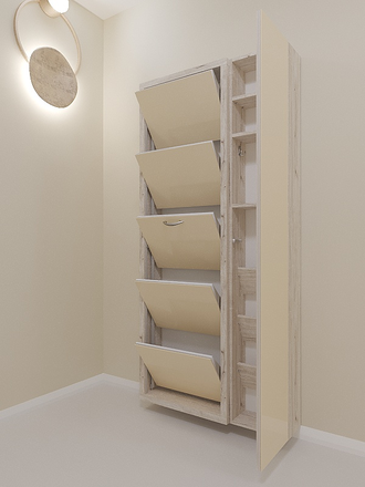 Обувница Айрон-5 Дуэт (фасад стекло капучино)