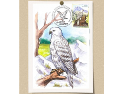 КМ - Фауна России. Кречет