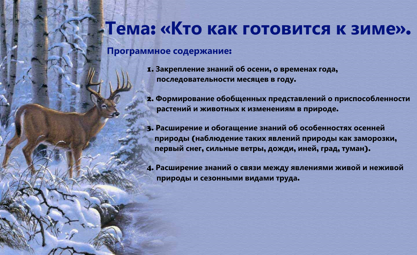 Дикие животные готовятся к зиме. Какжиао ные готовятся к зимез. Планирование как готовится к зиме средняя. Зайчик готовится к зиме. Планирование как готовится к зиме средняя.