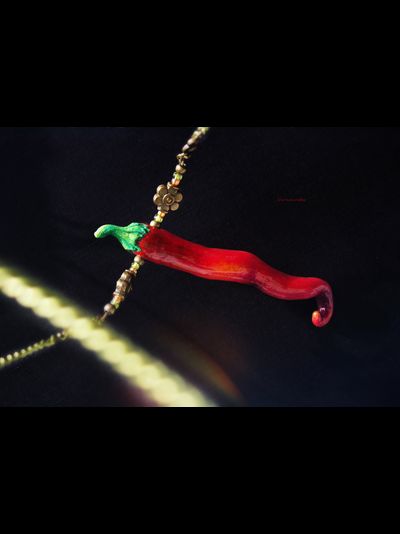 &quot;Секретный ингредиент&quot;, яркий кулон с красным перцем чили