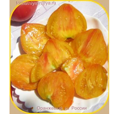 Томат Оранжевый русский (Оранж Рашен, Orange Russian )