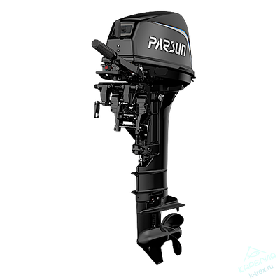 Лодочный мотор Parsun T9.9Pro BMS (18)