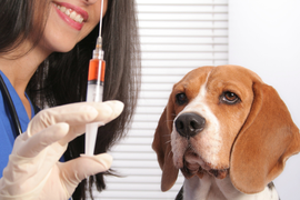 ВАКЦИНАЦИЯ