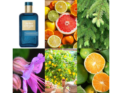 Atelier Cologne Mandarine Fauve