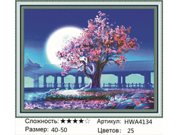 Алмазная мозаика 40х50см на подрамнике HWA4134