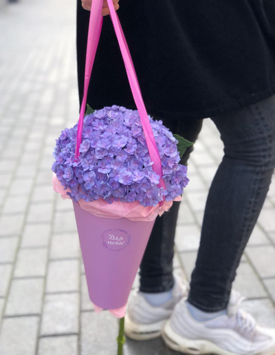 Сумочка с гортензией