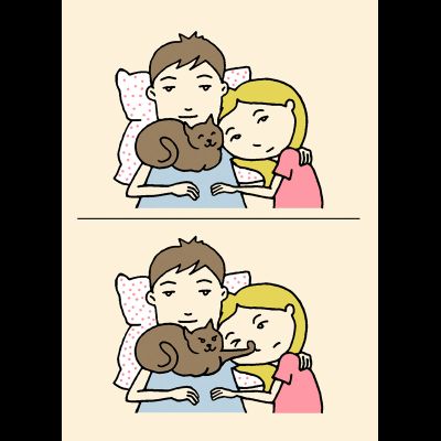 D0404 Третий лишний