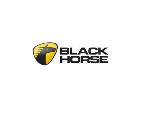 Аккумуляторы Black horse