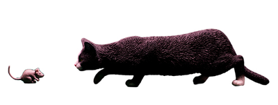 Черный кот с мышкой - Коллекционная ФИГУРКА 1/6 scale Felis catus 2.0 (JXK062B) - JXK