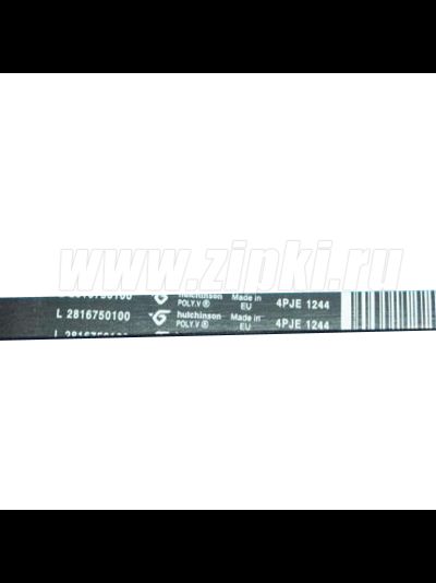 Ремень 1244 J4 EL «Hutchinson»  для стиральной машины Beko