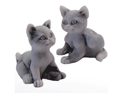 Котенок (2 вида). ОПТ