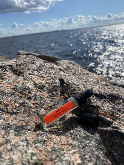 Духи АККОРД: ЧЁРНЫЕ КОШКИ 5,5 мл