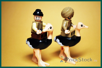 # 7570 Страусиные Бега / The Ostrich Race (2010)