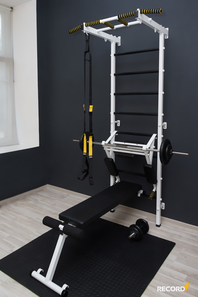 Скамья для пресса и жима лежа Рекорд в Воронеже