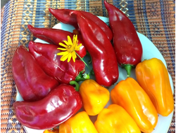 Перец сладкий