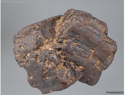 Лимонит по пириту. Южный Урал. Россия. 47*36*35мм