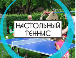 Настольный теннис
