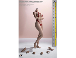 Супер-подвижное бесшовное женское тело с головой (ТЕЛОИД) 1/6 PLLB2020-S53  Super Flexible Seamless Female Body Figure - PHICEN (TBLeague)