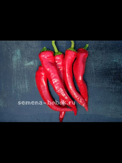 Перец острый Чудо Подмосковья, 10 шт