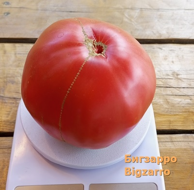 Томат  Бигзарро (Bigzarro), США
