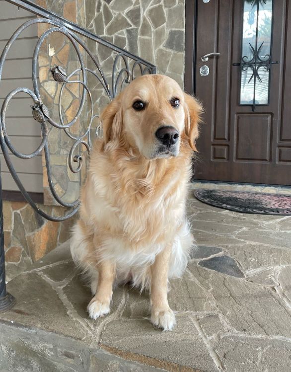 Луна (РЗ Первая Леди)