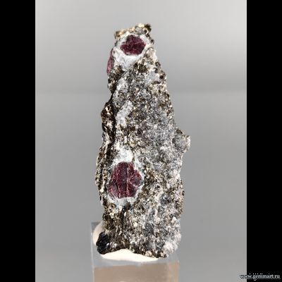 Корунд, фрагмент кристалла в слюдите. Рай-Из массив. ЯНАО. Россия.  55*22*10мм