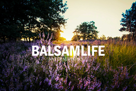 Balsamlife  фото