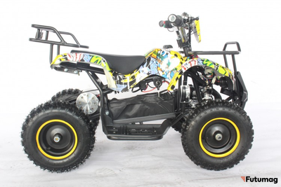 Квадроцикл GreenCamel Гоби K21 (12 Ah 36V 800W R6 Цепь) Граффити